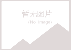 秦皇岛冰夏咨询有限公司